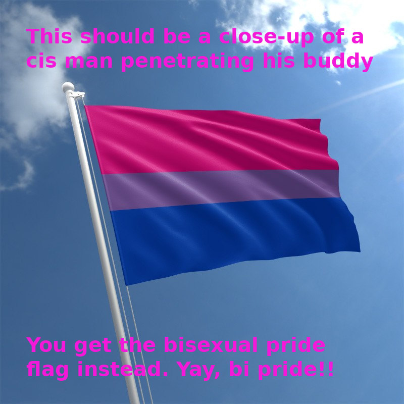 The bisexual pride flag flying during a sunny day. Captions read, "This should be a close-up of a cis man penetrating his buddy. You get the bisexual pride flag instead. Yay, bi pride!"