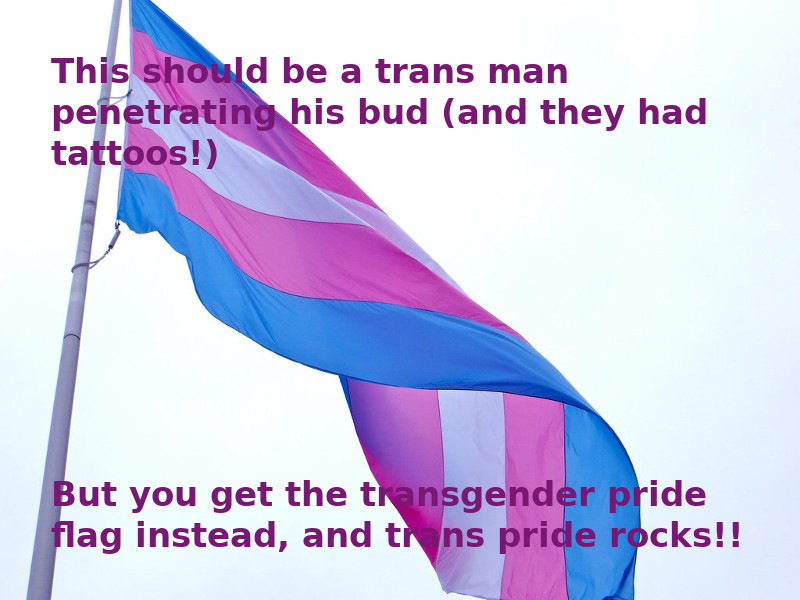 A transgender pride flag flying atop a mast. Captions read, "This should be a trans man penetrating his bud (and they had tattoos!). But you get the transgender pride flag instead, and trans pride rocks!"