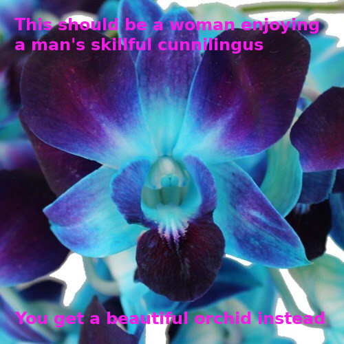 A blue and purple orchid. Captions read, "This should be a woman enjoying a man's skillful cunnilingus. You get a beautiful orchid instead."