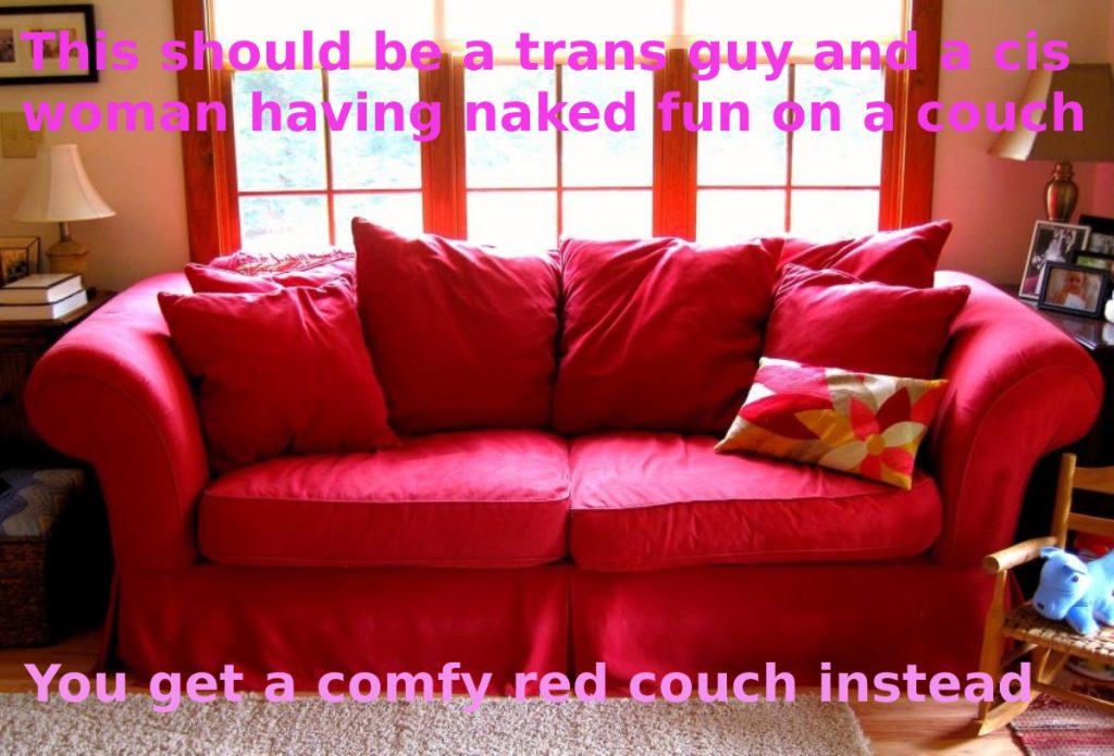 A plushy red couch covered with cushions, in a living room. Captions read, "This should be a trans guy and a cis woman having naked fun on a couch. You get a comfy red couch instead."