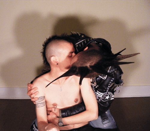 Two punks kissing, one with a spiked mohawk and a leather jacket embracing the other, who is shirtless, from behind.