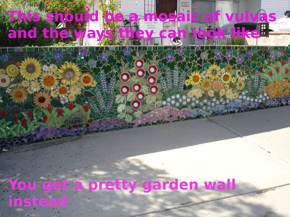 A garden wall decorated with a mosaic filled with sunflowers, tulips, daisies and other plants. Captions overlay the picture and read, "This should be a mosaic of vulvas and the ways they can look like. You get a pretty garden wall instead." You'll probably get up, close and personal with vulvas during sex with women and AFAB people.