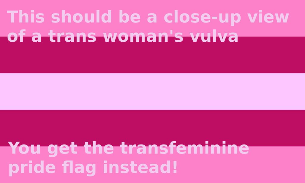 The transfeminine pride flag. It's split into five horizontal bars. The bottom and top bars are pink. The middle bar is a very pale pink that is almost white. The last two bars that frame the middle bar are fuchsia. Captions overlay the image and read, "This should be a close-up view of a trans woman's vulva. You get the transfeminine pride flag instead!" Sex with women can mean sex with trans women too!