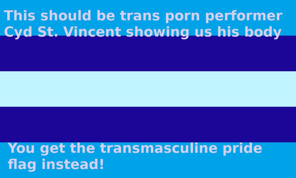The transmasculine pride flag. It's split into five horizontal bars. The bottom and top bars are sky blue. The middle bar is a very pale blue that is almost white. The last two bars that frame the middle bar are royal blue. Captions overlay the image and read, "This should be trans porn performer Cyd Saint Vincent showing us his body. You get the transmasculine pride flag instead!"