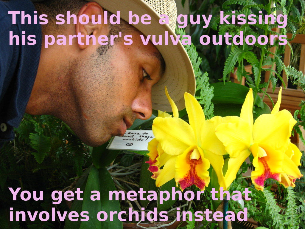 A close-up shot of a man smelling two blossoming orchids in a garden. The orchids are yellow, but their innermost part is red and fuchsia. Captions overlay the image and read, "This should be a guy kissing his partner's vulva outdoors. You get a metaphor that involves orchids instead."