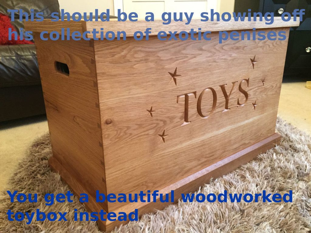 A wooden toybox with stars and the word "toys" etched in its front side. Captions overlay the image and read, "This should be a guy showing off his collection of exotic penises. You get a beautiful, woodworked toybox instead."