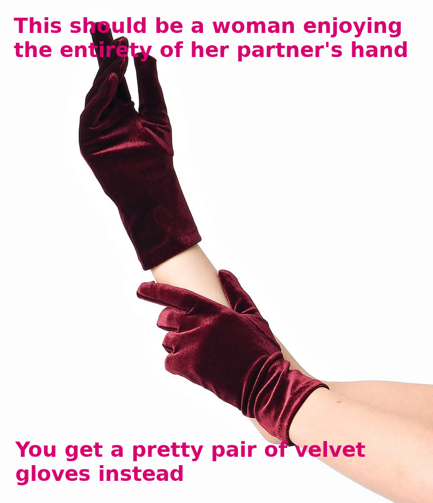 A pair of arms, with each hand wearing a burgundy velvet glove. The right arm is bent upward at the elber, with the hand pointing up. The left hand is holding the right forearm. Captions overlay the image and read, "This should be a woman enjoying the entirety of her partner's hand. You get a pretty pair of velvet gloves instead.