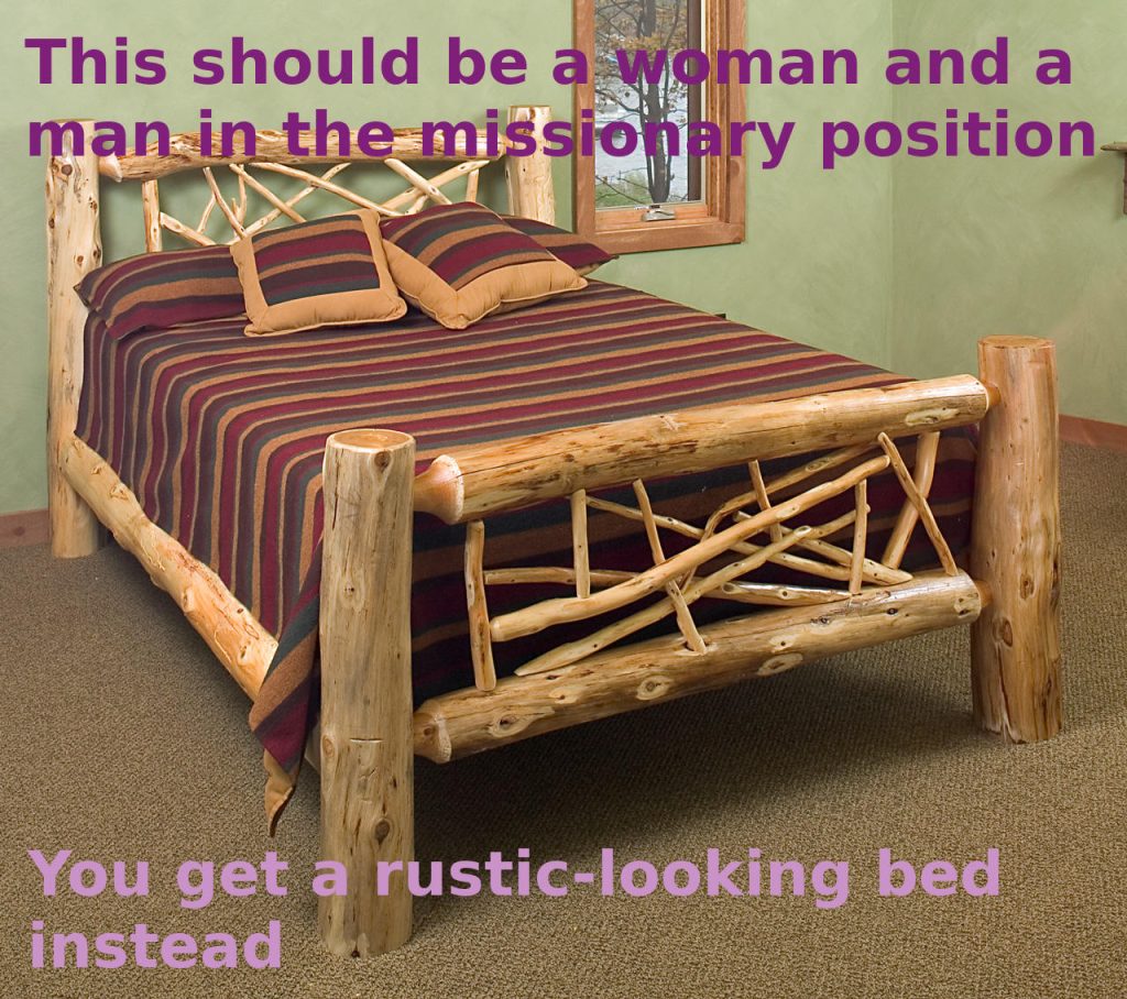 A bed made from wooden logs. The bed cover, pillows and cushings have burgundy, dark green and tan lines. Captions overlay the image and read, "This should be a woman and a man in the missionary position. You get a rustic-looking bed instead." This position is a classic of sex with women.
